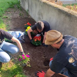 Giardinaggio 2