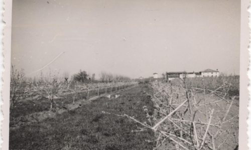 Terreni Gambaro 2