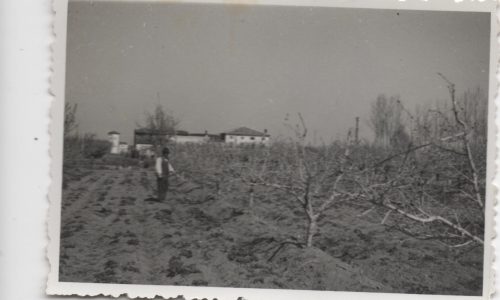 Terreni Gambaro 3