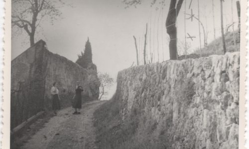 Terreni Gambaro 6